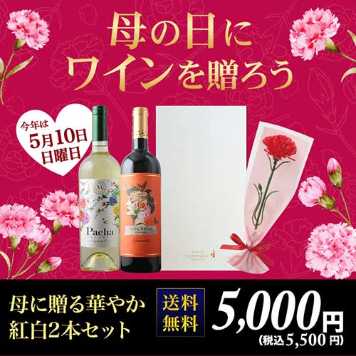 母の日ギフト　母に贈る華やか紅白2本セット　造花カーネーション1輪付き 送料無料 ギフトセット
