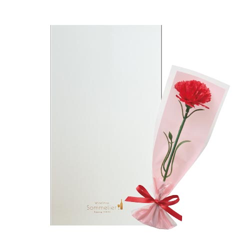 母の日ギフト　母に贈る華やか紅白2本セット　造花カーネーション1輪付き 送料無料 ギフトセット