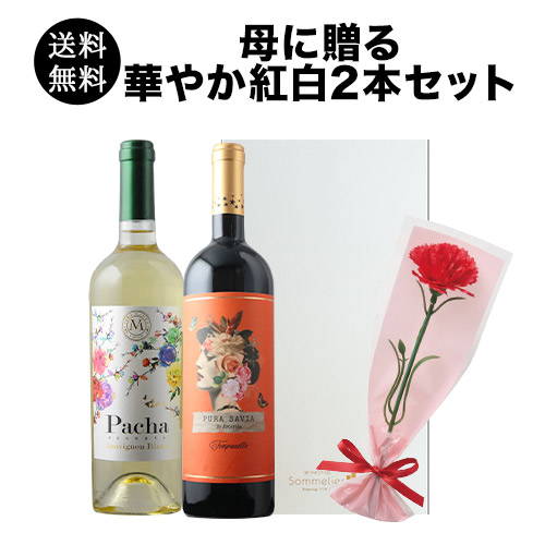 母の日ギフト　母に贈る華やか紅白2本セット　造花カーネーション1輪付き 送料無料 ギフトセット