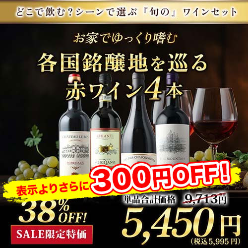 お家でゆっくり嗜む　各国銘醸地を巡る赤ワイン4本セット ワインセット