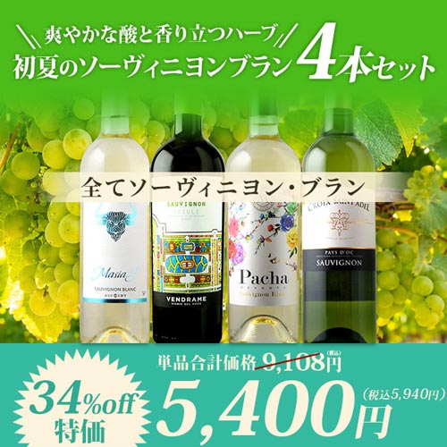 爽やかな酸と香り立つハーブ 初夏のソーヴィニヨンブラン4本セット 白ワインセット