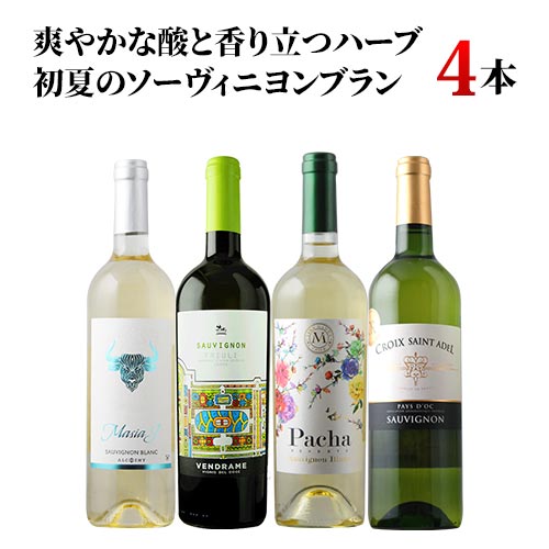 爽やかな酸と香り立つハーブ 初夏のソーヴィニヨンブラン4本セット 白ワインセット