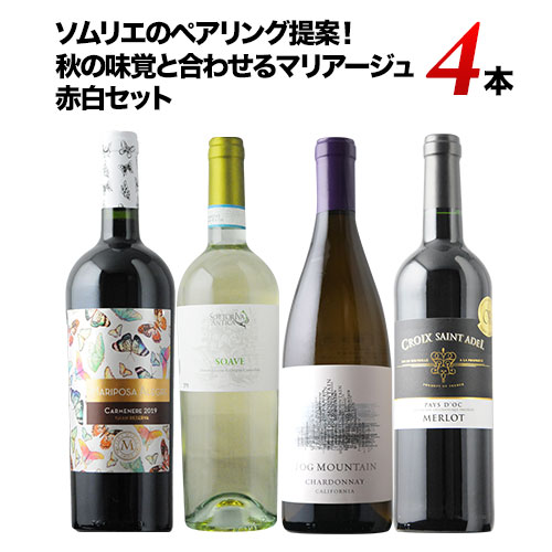 ☆10/15限定クーポン全品10%OFF☆先着200名様 ワインセット 秋の味覚を