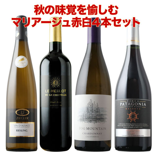 ドリカムワイン beauty and harmony2 2種セット 未開封 beauty and