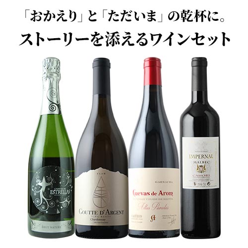 【帰省・手土産】「おかえり」と「ただいま」の乾杯に。ストーリーを添えるワインセット 送料無料 赤2本・白2本 ワインセット
