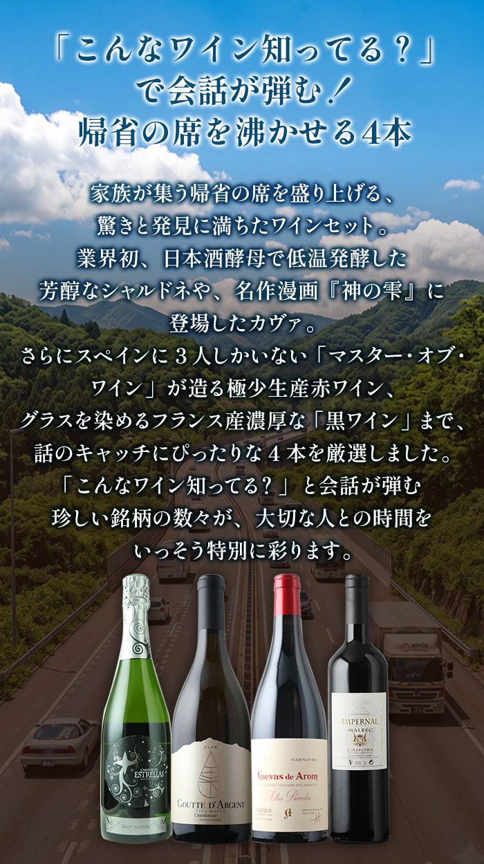 【帰省・手土産】「おかえり」と「ただいま」の乾杯に。ストーリーを添えるワインセット 送料無料 赤2本・白2本 ワインセット