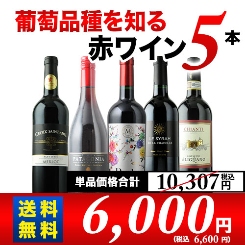 葡萄品種を知る赤ワイン5本セット 送料無料 赤ワインセット 「7/6更新」