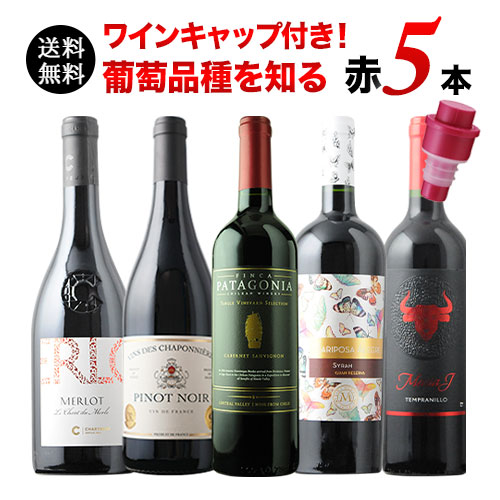 ワインキャップ付き！ブドウ品種を知る赤ワイン5本セット 送料無料 赤ワインセット 「6/18更新」