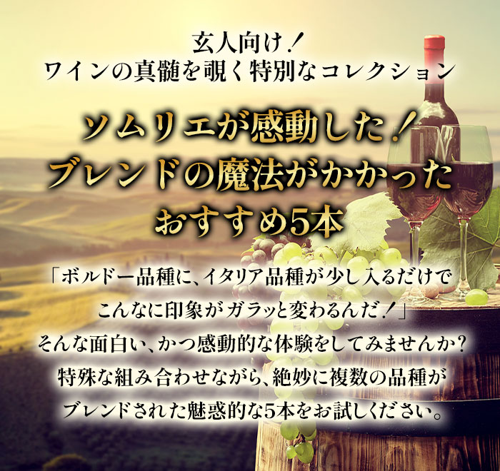 アッサンブラージュの魅力に浸るMIX5本セット（赤2本、白2本、ロゼ1本） ワインセット