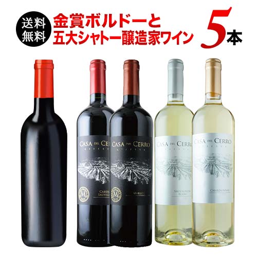 金賞ボルドーと五大シャトー醸造家ワイン5本セット（赤3本＆白2本）送料無料 ワインセット