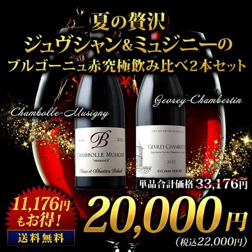 夏の贅沢 ムルソー＆1級 ブルゴーニュ白究極飲み比べ2本セット 送料