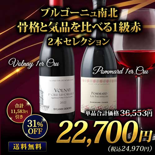 ブルゴーニュ南北・骨格と気品を比べる1級赤2本セレクション  送料無料 赤ワインセット