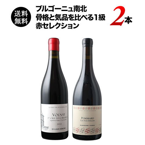 ブルゴーニュ南北・骨格と気品を比べる1級赤2本セレクション  送料無料 赤ワインセット