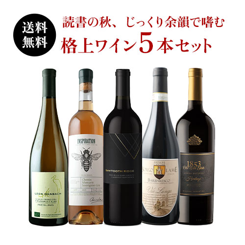 ★対象商品まとめ買いで5～10%OFF実施中★読書の秋、じっくり余韻で嗜む格上ワイン5本セット 送料無料