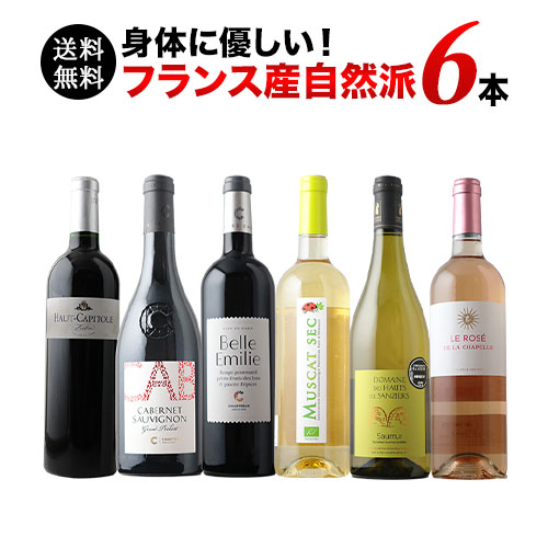 フランス自然派ワイン6本セット 第24弾 送料無料 赤3本＆白2本＆ロゼ1本 ワインセット「1/21更新」