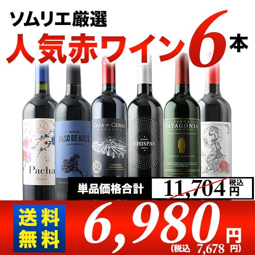 ソムリエ人気赤ワイン6本セット 第62弾 送料無料 赤ワインセット「10/28更新」