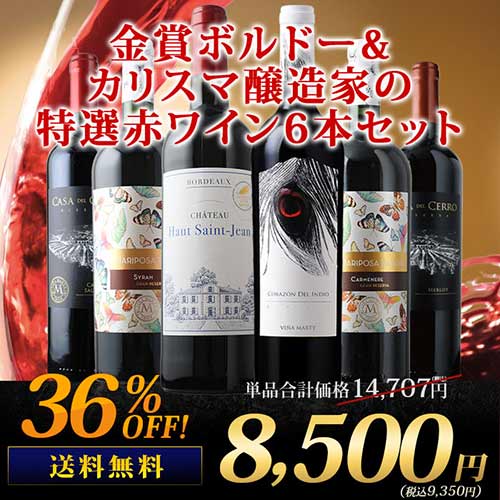 金賞ボルドー＆カリスマ醸造家 特選赤ワイン6本セット 送料無料 赤ワインセット「9/8更新」