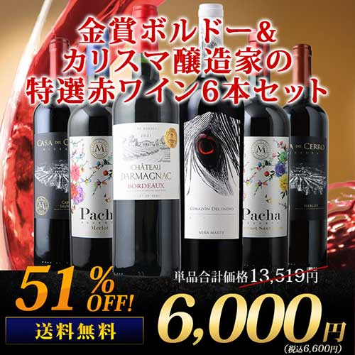 金賞ボルドー＆カリスマ醸造家 特選赤ワイン6本セット 送料無料 赤ワインセット「3/8更新」