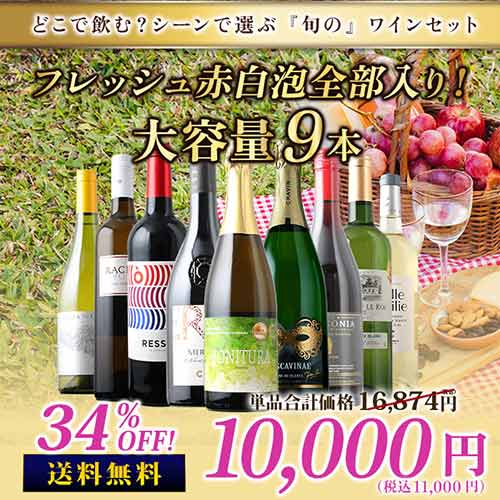 フレッシュ赤白泡全部入り！アウトドアでも大活躍の大容量9本セット 赤3本＆白4本＆泡2本 送料無料 ワインセット