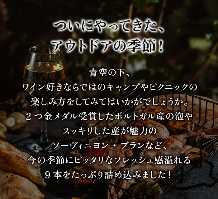 フレッシュ赤白泡全部入り！アウトドアでも大活躍の大容量9本セット 赤3本＆白4本＆泡2本 送料無料 ワインセット