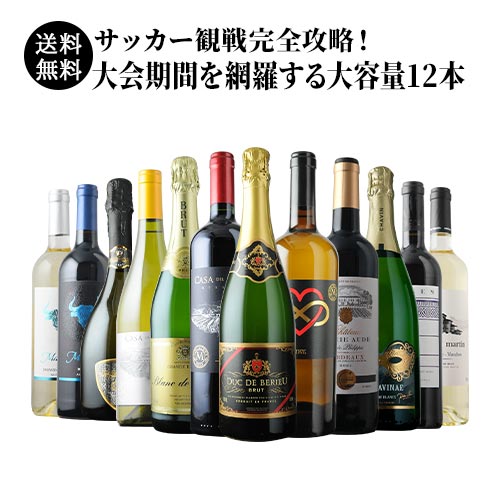 サッカー観戦完全攻略!大会期間を網羅する大容量12本セット 赤4本&白4本&泡4本 送料無料 ワインセット