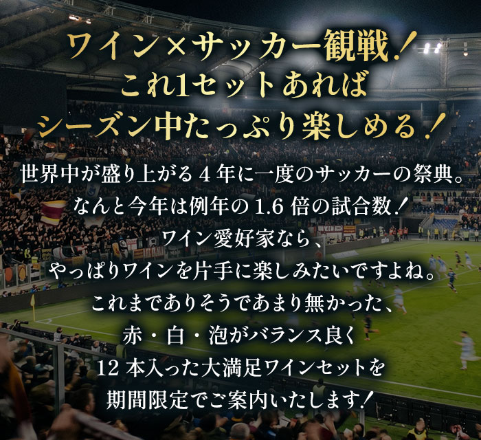 サッカー観戦完全攻略!大会期間を網羅する大容量12本セット 赤4本&白4本&泡4本 送料無料 ワインセット