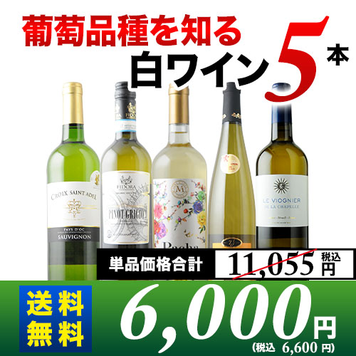 葡萄品種を知る白ワイン5本セット 送料無料白ワインセット