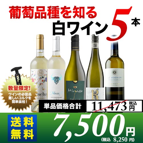 葡萄品種を知る白ワイン5本セット 送料無料 白ワインセット「12/18更新」