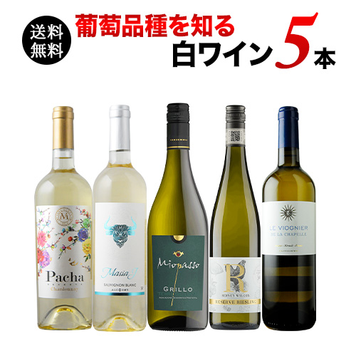 葡萄品種を知る白ワイン5本セット 送料無料 白ワインセット「12/18更新」