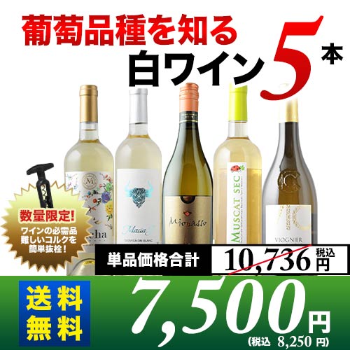 葡萄品種を知る白ワイン5本セット 送料無料 白ワインセット「6/23更新」