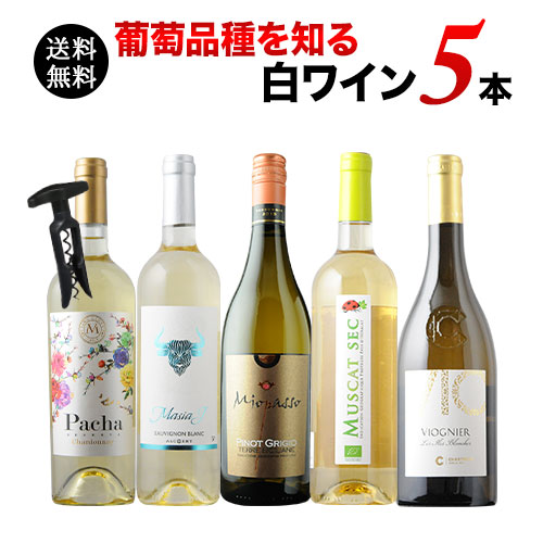 葡萄品種を知る白ワイン5本セット 送料無料 白ワインセット「6/23更新」