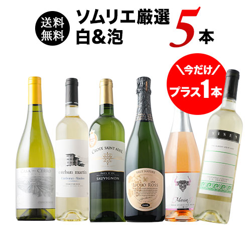 今だけプラス1本!36か月長期熟成カヴァ&金賞白入り!ソムリエ厳選白&泡5本セット 送料無料「6/23更新」