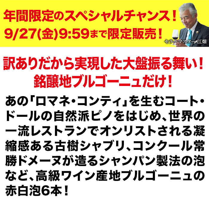 「13」銘醸地ブルゴーニュだけ！訳ありワイン6本セット（赤ワイン3本・白ワイン2本・スパークリングワイン1本）