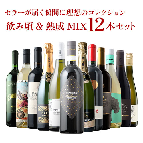 セラーが届く瞬間に理想のコレクション　飲み頃&熟成　MIX12本セット（赤ワイン6・白ワイン4・シャンパン1・泡1）送料無料