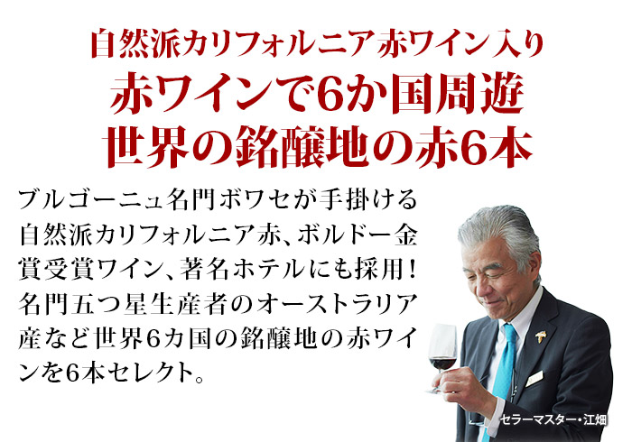 世界6カ国の銘醸地を巡る赤ワイン6本セット 送料無料 赤ワインセット「10/8更新」