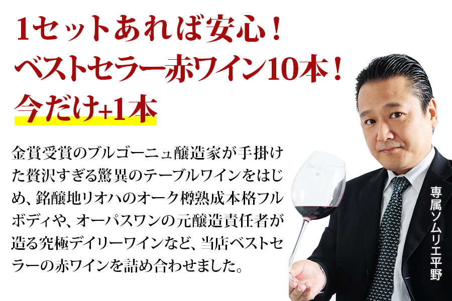 今だけプラス1本!当店ベストセラー赤ワイン10本セット 送料無料 赤ワインセット「6/19更新」
