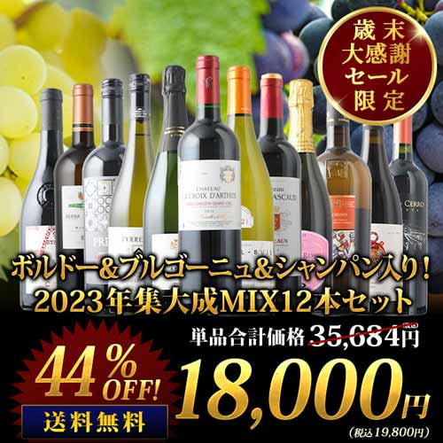 SALE「6」ボルドー＆ブルゴーニュ＆シャンパン入り！2023年集大成MIX12本セット 送料無料 ワインセット
