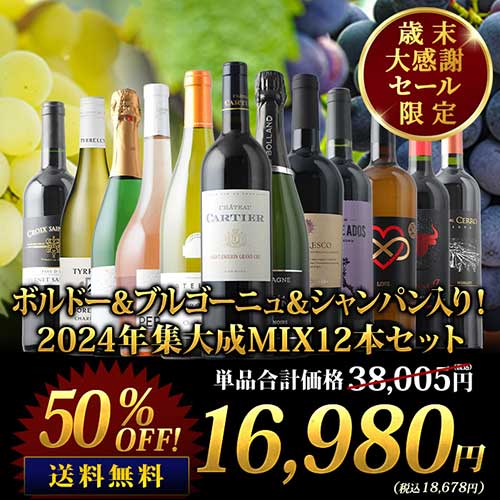 ボルドー＆ブルゴーニュ＆シャンパン入り！2024年集大成MIX12本セット 送料無料 ミックスワインセット（赤6・白3・シャンパン1・ロゼ泡1・泡1）