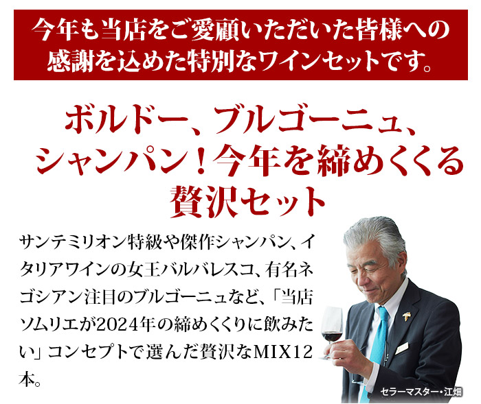 ボルドー＆ブルゴーニュ＆シャンパン入り！2024年集大成MIX12本セット 送料無料 ミックスワインセット（赤6・白3・シャンパン1・ロゼ泡1・泡1）