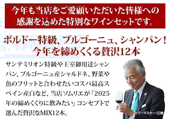 ボルドー&ブルゴーニュ&シャンパン入り!2025年集大成MIX12本セット 送料無料 ミックスセット(赤5・白5・シャンパン1・泡1)「12/10更新」