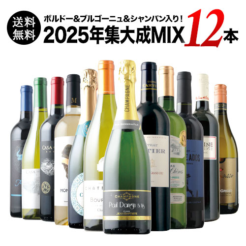 ボルドー＆ブルゴーニュ＆シャンパン入り！2025年集大成MIX12本セット 送料無料 ミックスセット（赤5・白5・シャンパン1・泡1）