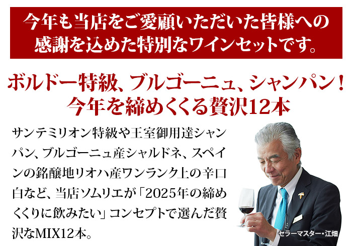 ボルドー＆ブルゴーニュ＆シャンパン入り！2025年集大成MIX12本セット 送料無料 ミックスセット（赤5・白5・シャンパン1・泡1）