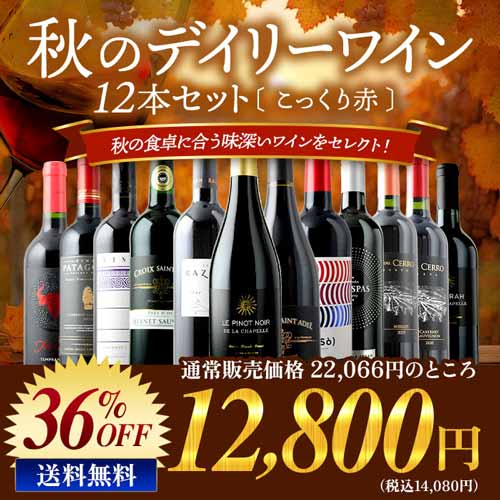 ★10/15限定クーポン全品10%OFF★先着200名様 秋のデイリーワイン12本セット こっくり赤 送料無料