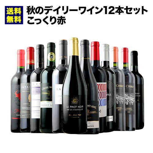 ★10/15限定クーポン全品10%OFF★先着200名様 秋のデイリーワイン12本セット こっくり赤 送料無料