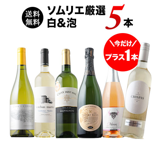 今だけプラス1本!36か月長期熟成カヴァ&金賞白入り!ソムリエ厳選白&泡5本セット 送料無料「6/3更新」