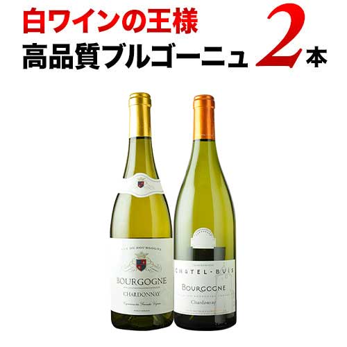 白ワインの王様 高品質ブルゴーニュ2本セット 白ワインセット「9/1更新」