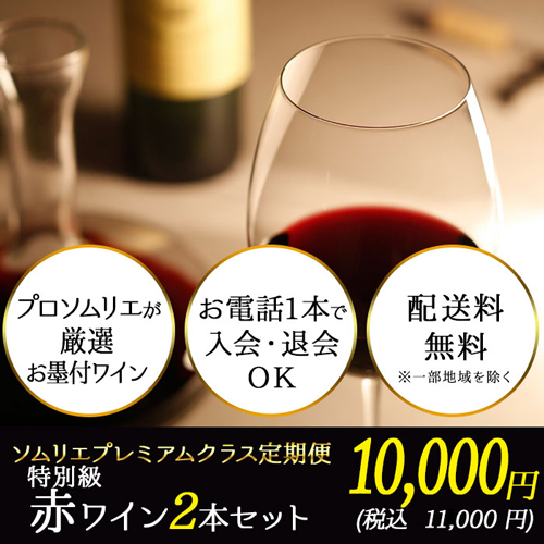 ソムリエプレミアムクラス定期便　特別級赤ワイン2本セット（1ヶ月毎お届け）　送料無料　赤ワインセット