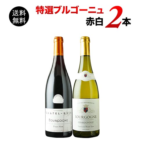 特選ブルゴーニュ赤白2本セット 送料無料 赤1本＆白1本 ワインセット「9/20更新」 | ワイン通販ならワインショップソムリエ