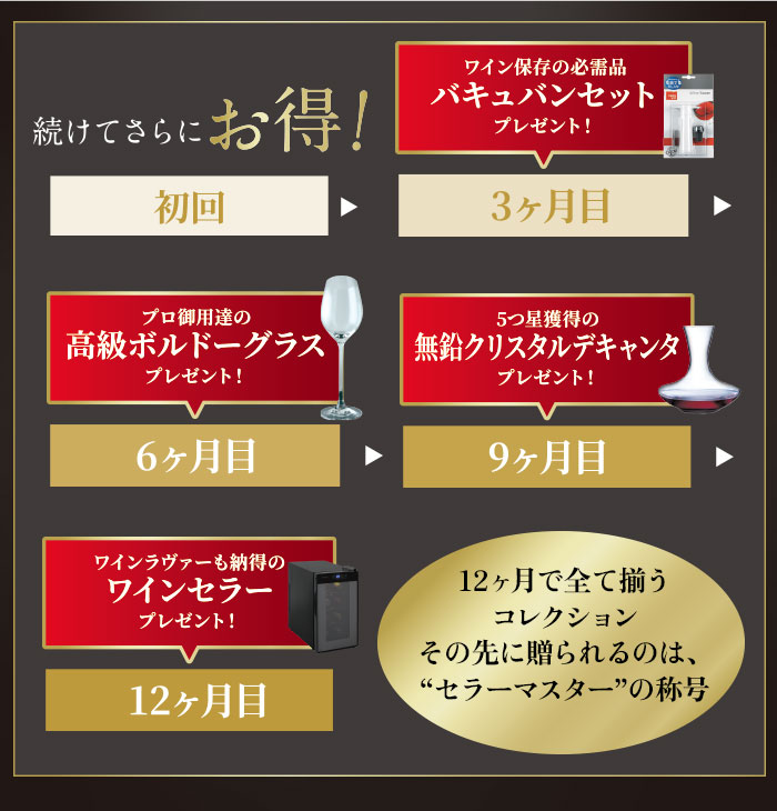 セラーマスター定期便 ボルドー・ブルゴーニュ赤2本（1ヶ月毎お届け） 送料無料 赤ワインセット