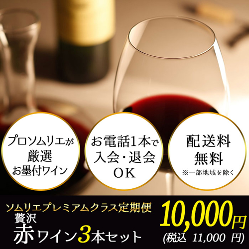 ソムリエプレミアムクラス定期便　贅沢赤ワイン3本セット（1ヶ月毎お届け）　送料無料　赤ワインセット